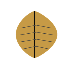Premium Botanics Co